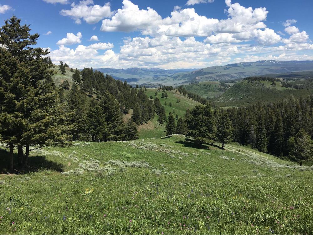 Yellowstone National Park, USA