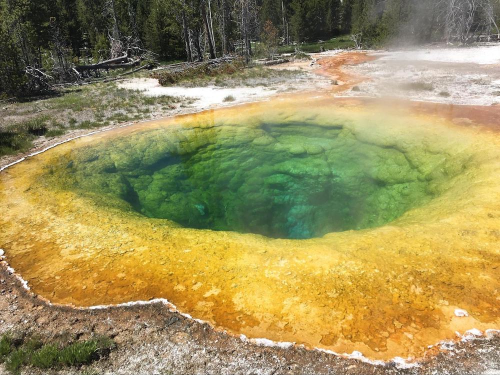 Norris Geyser Basin, Yellowstone National Park