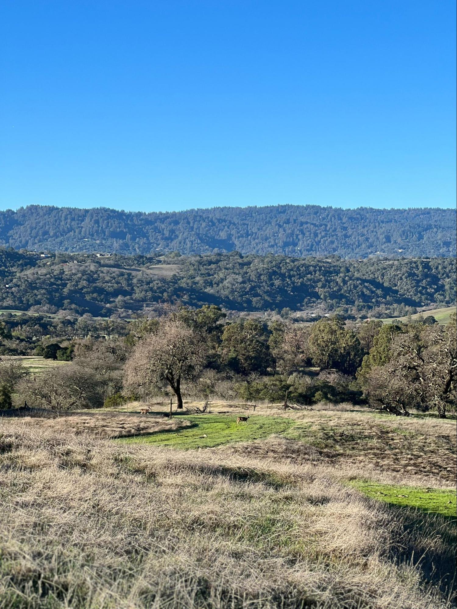 Stanford dish loop trail